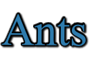 Ants